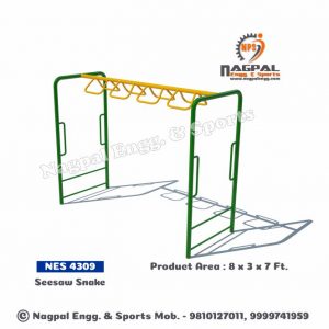 Seesaw Snake